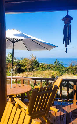 海を眺めながらカフェ ペトラの里、自慢のオーガニックコーヒー